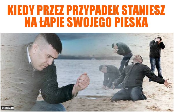 Kiedy przez przypadek staniesz na łapie swojego pieska