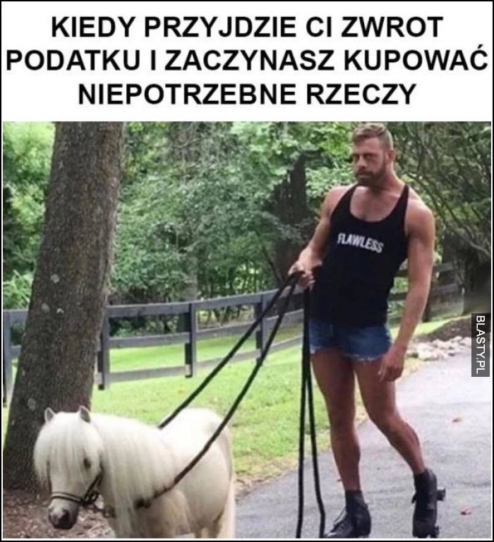 Kiedy przyjdzie zwrot podatku