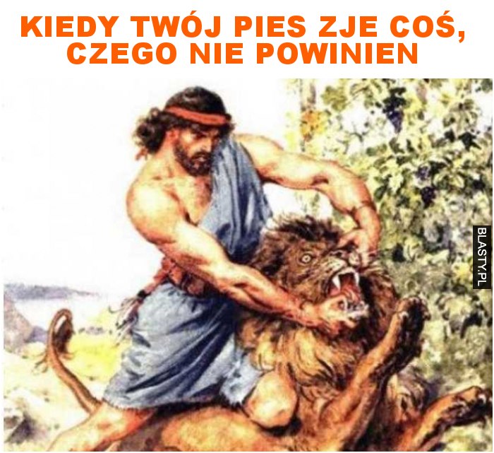 Kiedy twój pies zje coś, czego nie powinnien