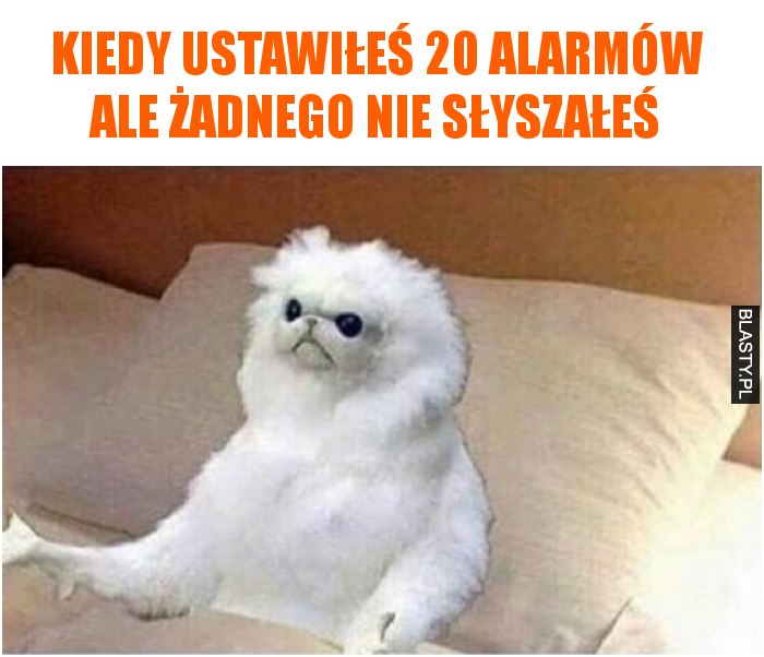 Kiedy ustawiłeś 20 alarmów ale żadnego nie słyszałeś