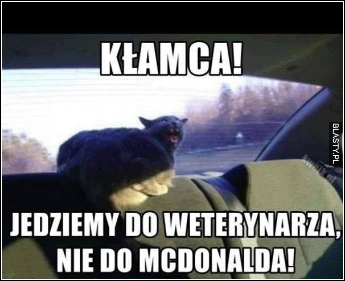 Kłamca