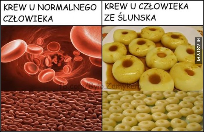 Krew u normalnego człowieka