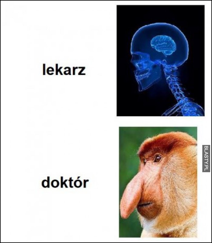 Lekarz