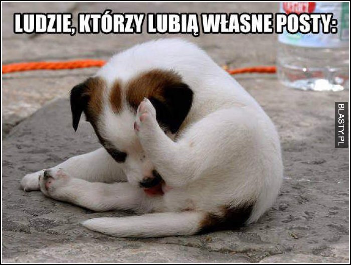 ludzie, którzy lubią własne posty