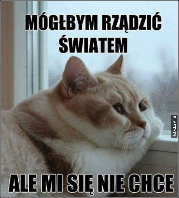 mógłbym rządzić światem