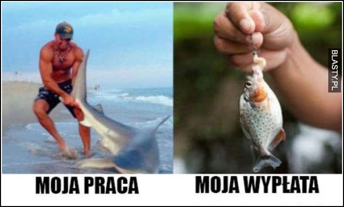 Moja praca vs wypłata