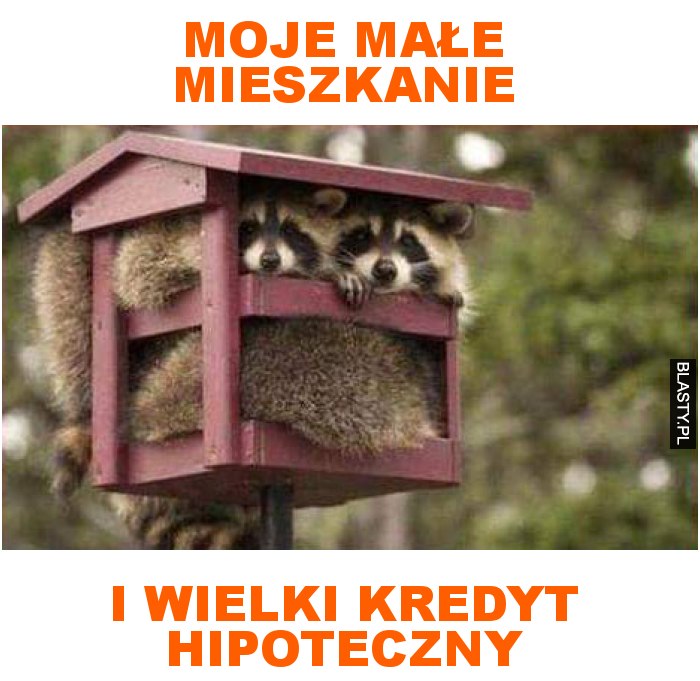 moje małe mieszkanie i wielki kredyt hipoteczny