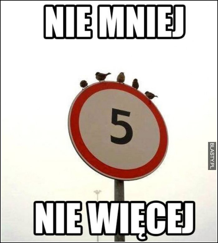Nie mniej nie więcej