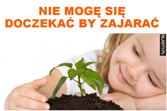 nie mogę się doczekać by zajarać