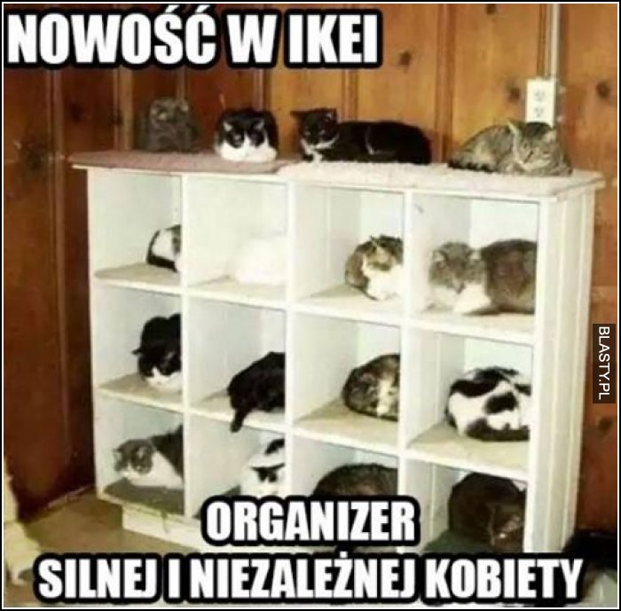 Organizer silnej i niezależnej