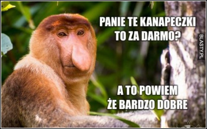 Panie te kanapeczki to za darmo ?