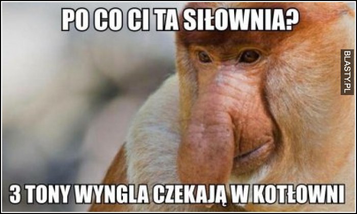 Po co Ci ta siłownia