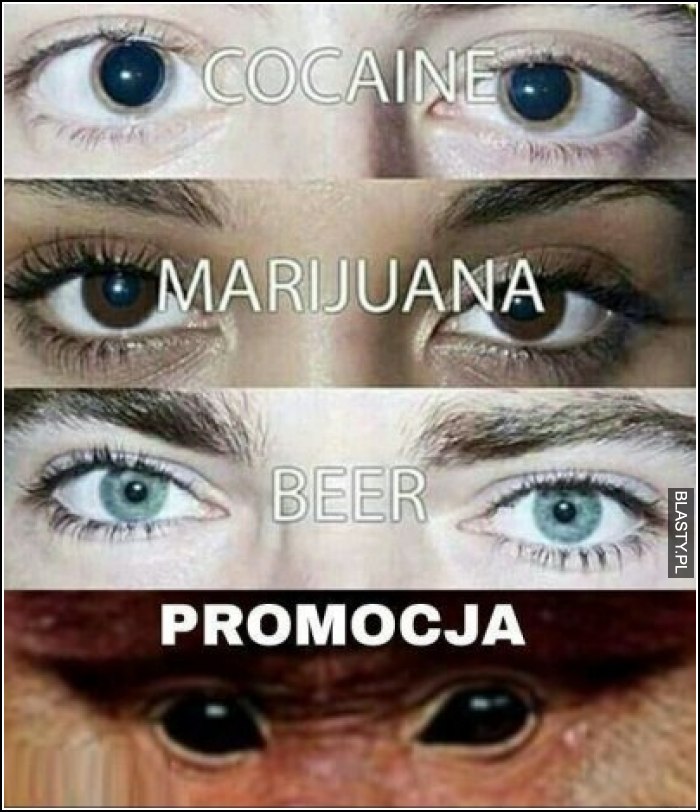 Promocja