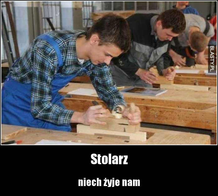 Stolarz