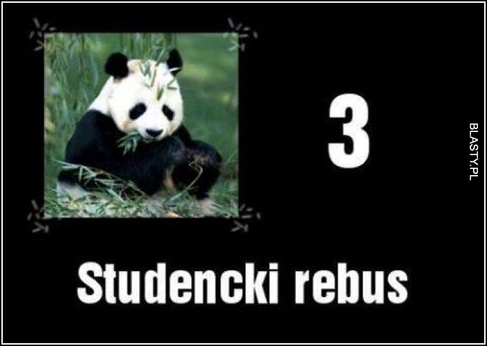 Sala 1 - Page 2 Studencki-rebus_2017-04-14_07-31-59