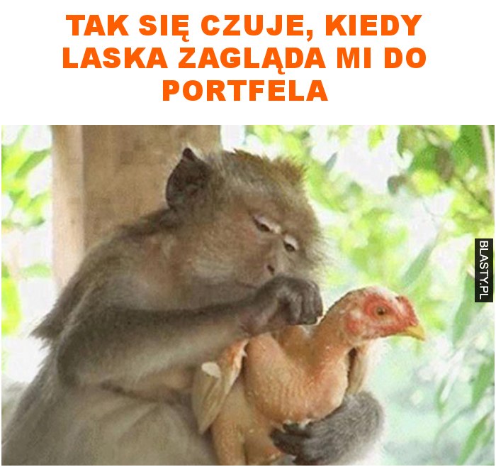 tak się czuje, kiedy laska zagląda mi do portfela