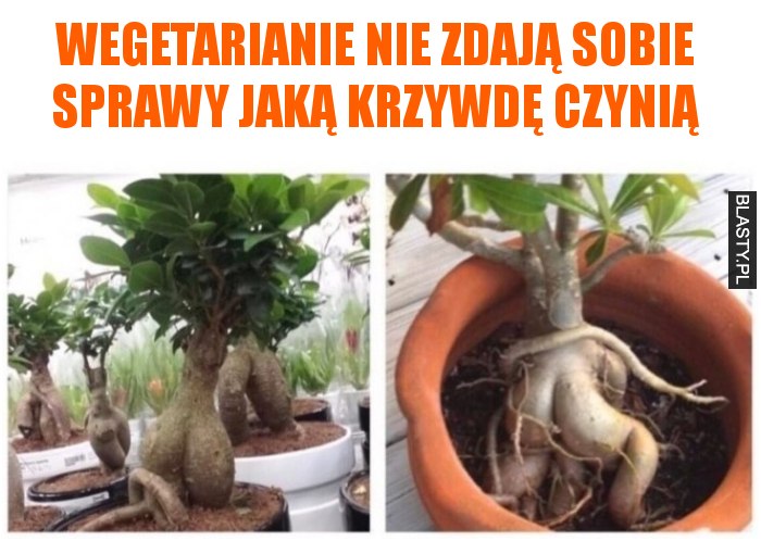 Wegetarianie nie zdają sobie sprawy jaką krzywdę czynią