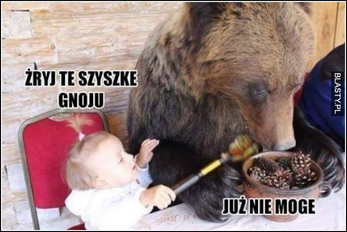 żryj te szyszkę gnoju