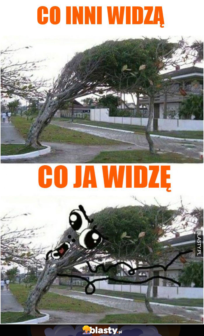 Co inni widzą patrząc na burzę vs co ja widzę