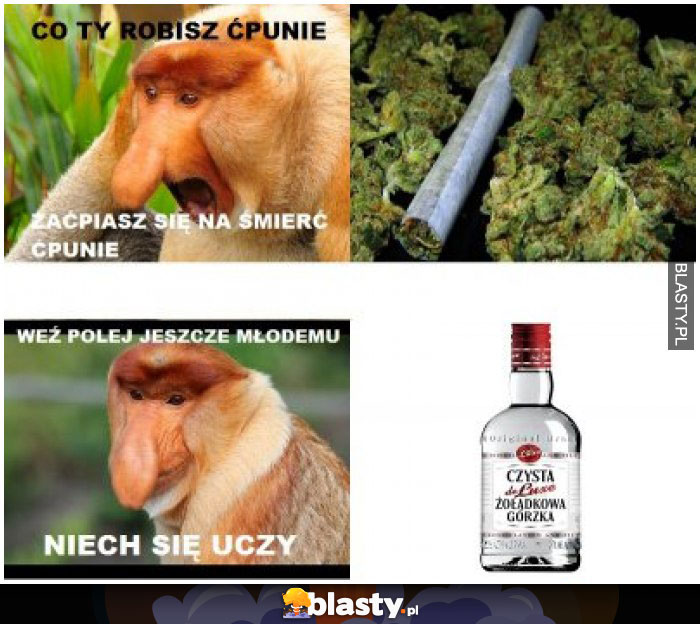 Co Ty robisz ćpunie