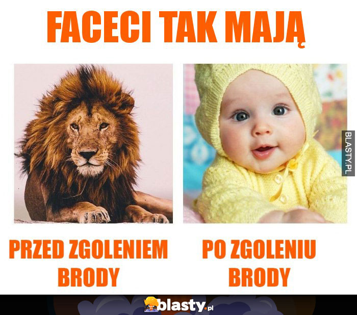 Faceci tak mają