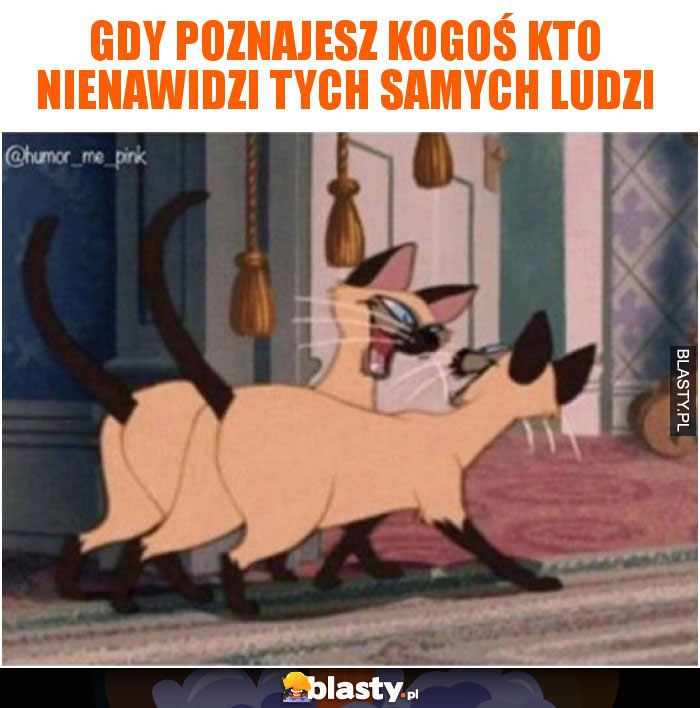 Gdy poznajesz kogoś kto nienawidzi tych samych ludzi