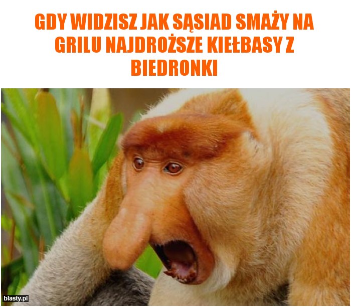 Gdy widzisz jak sąsiad smaży na grilu najdroższe kiełbasy z biedronki