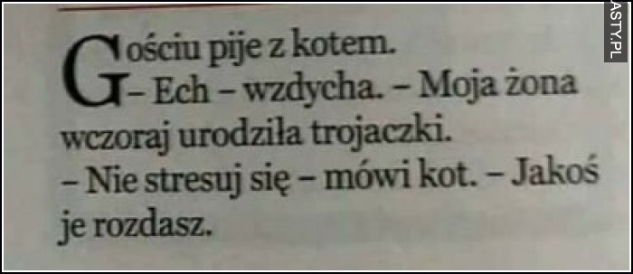 Gość pije z kotem