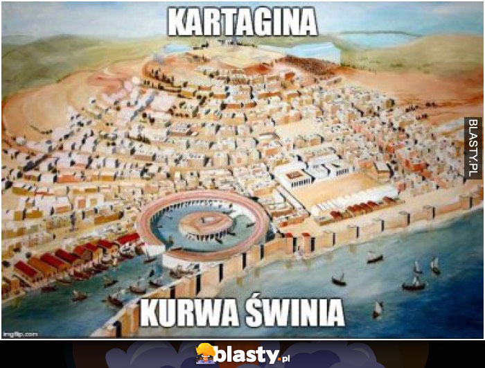 Kartagina kurwa świnia