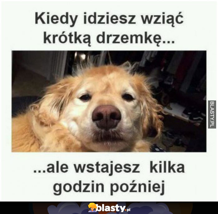 Kiedy idziesz wziąć krótką drzemkę