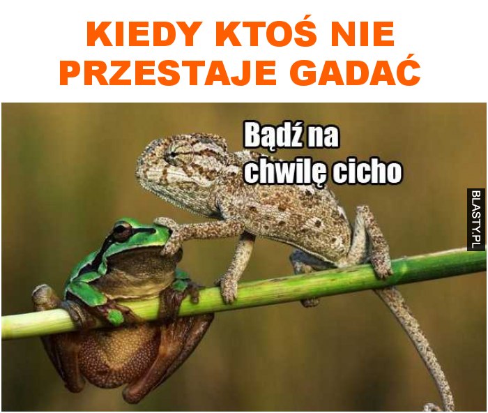 Kiedy ktoś nie przestaje gadać