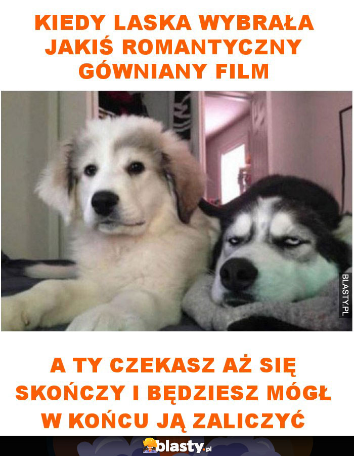 Kiedy laska wybrała jakiś romantyczny gówniany film
