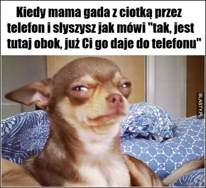 Kiedy mama gada z ciotką przez telefon