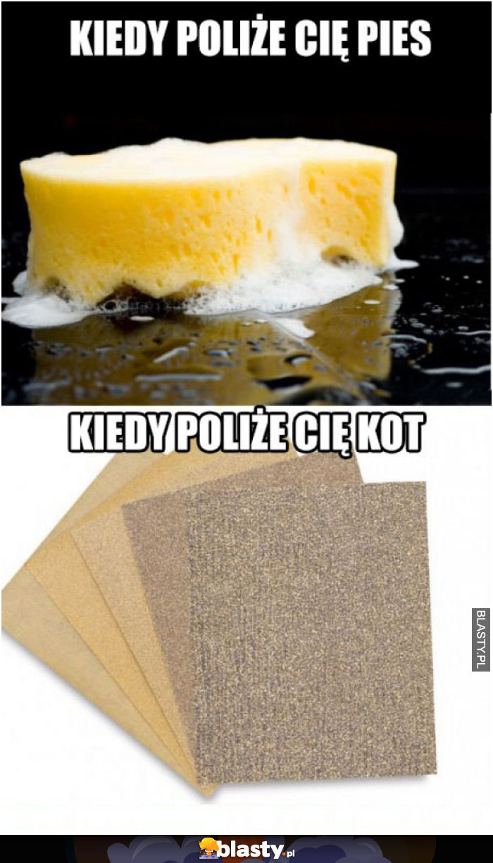 Kiedy poliże cię pies