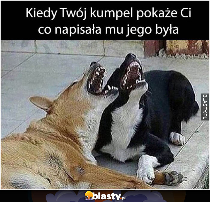 Kiedy Twój kumpel pokaże ci co napisała mu jego była