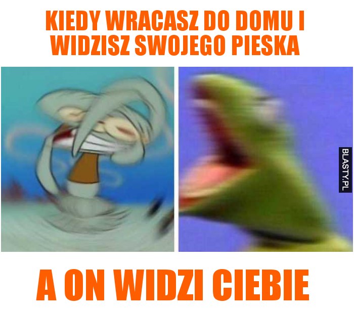 Kiedy wracasz do domu i widzisz swojego pieska a on widzi ceibie