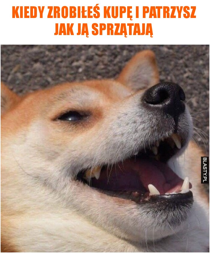 Kiedy zrobiłeś kupę i patrzysz jak ją sprzątają