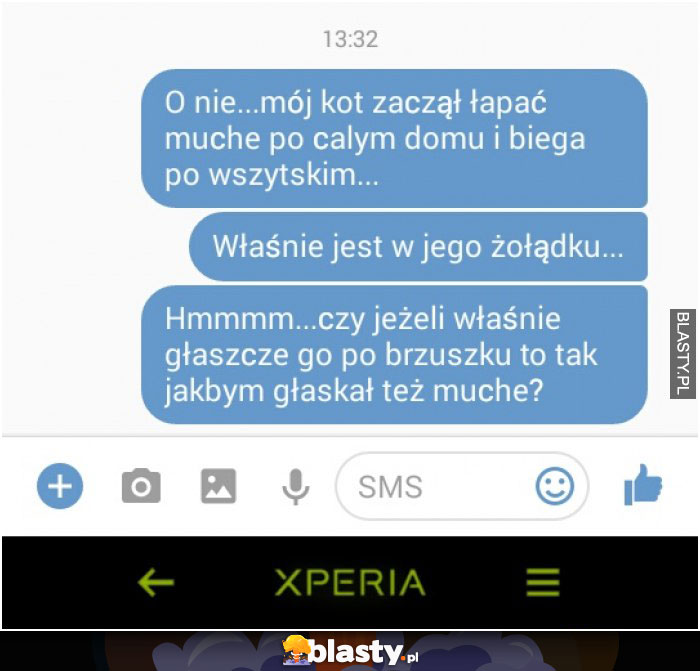 KOT