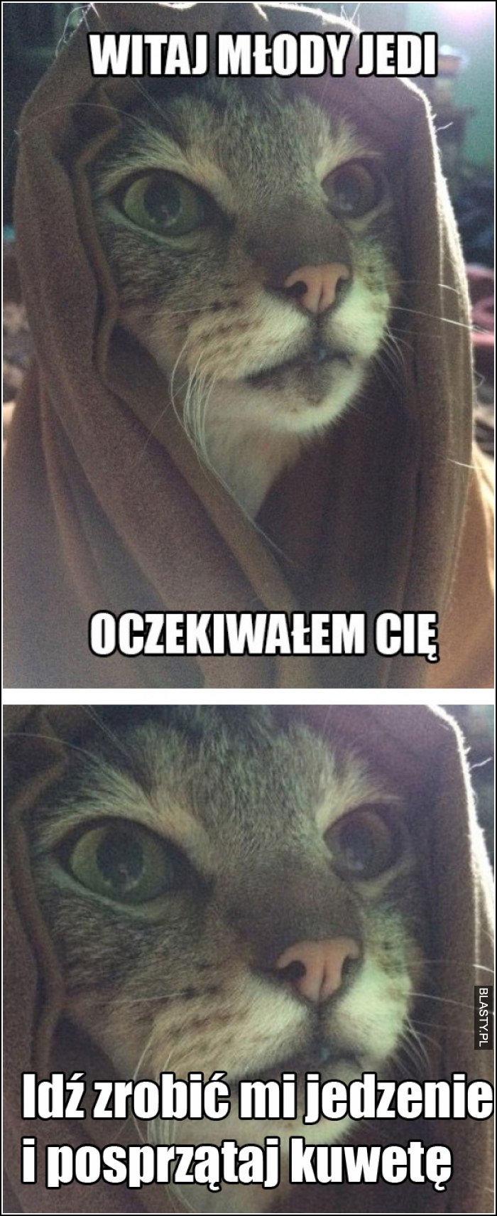 Młody Jedi oczekiwałem cię