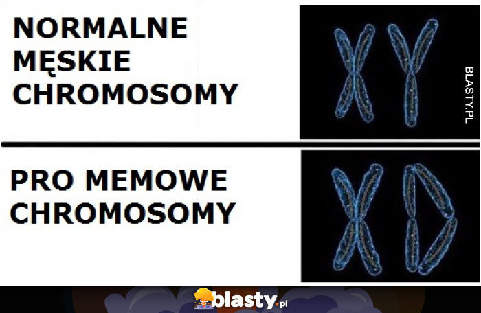 Normalne męskie chromosomy