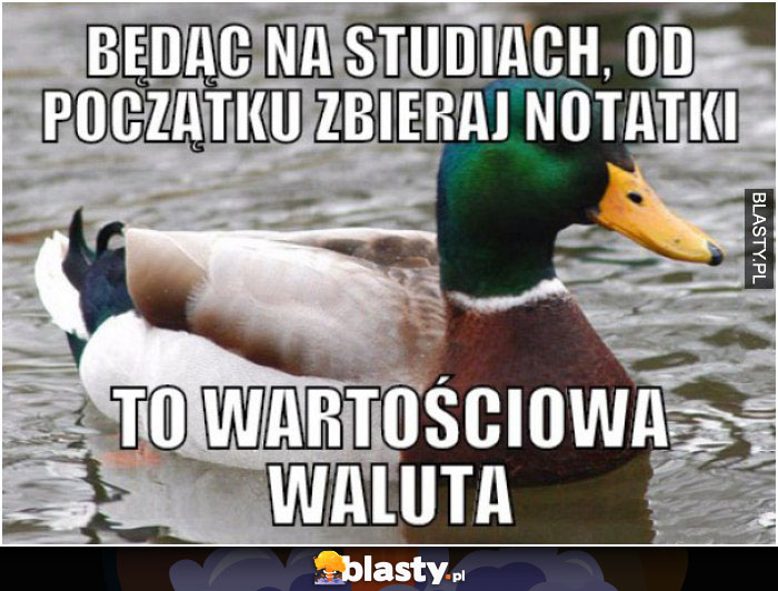 Notatki na studiach