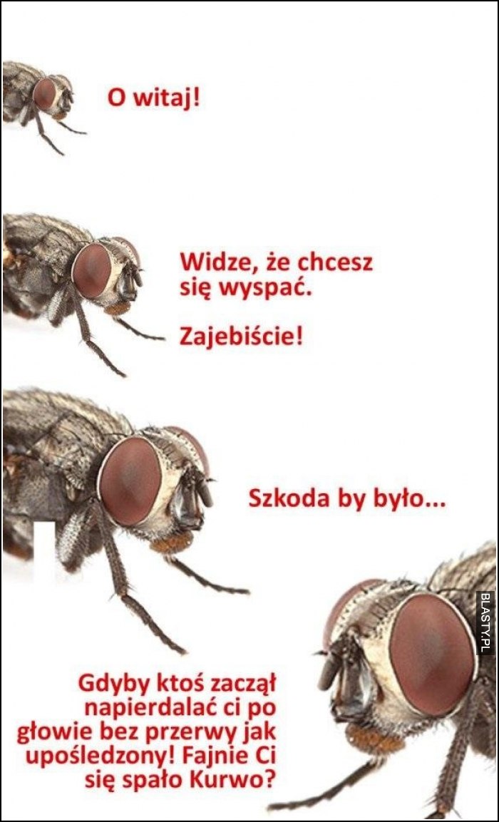 O witaj widzę, że chcesz się wyspać