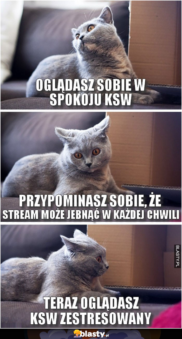 Ogladasz sobie w spokoju ksw przypominasz sobie ze stream moze jebnac w kazdej chwili teraz ogladasz ksw zestresowany