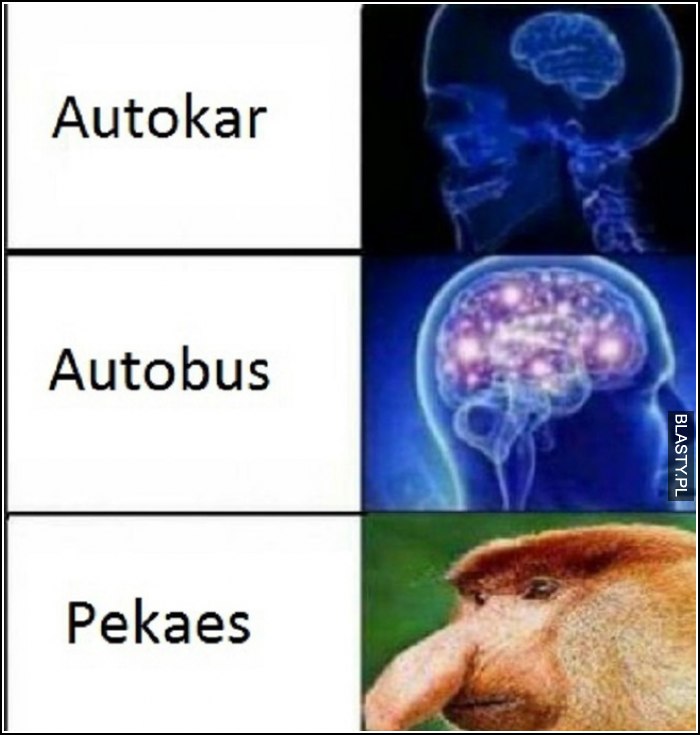 Pekaes