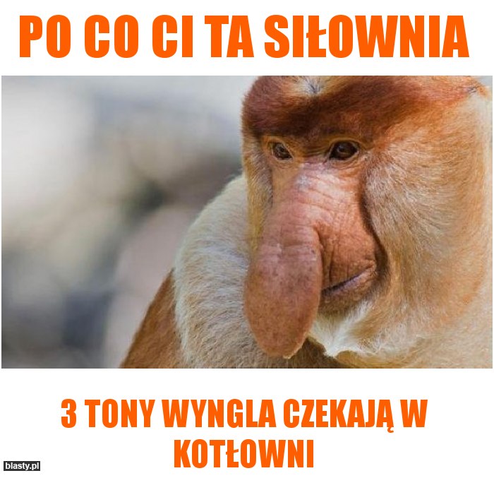 Po co Ci ta siłownia