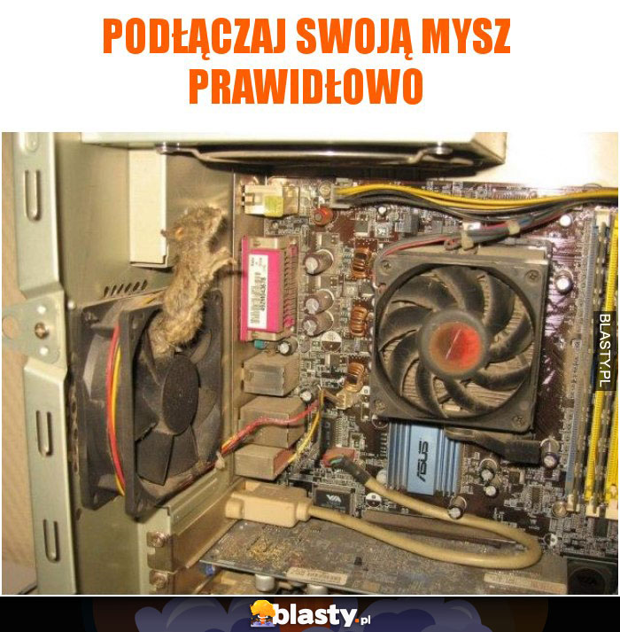 Podłączaj swoją mysz prawidłowo