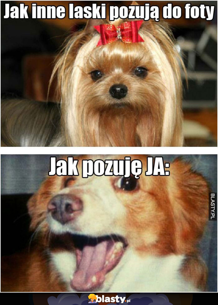 Pozowanie do zdjęcia