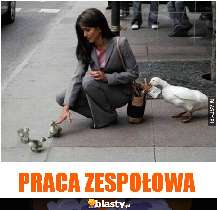 Praca zespołowa