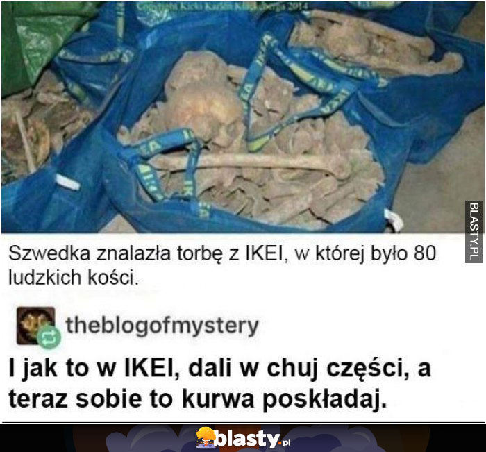 Szwedka znalazła torbę z IKEA w której było 80 ludzkich kości
