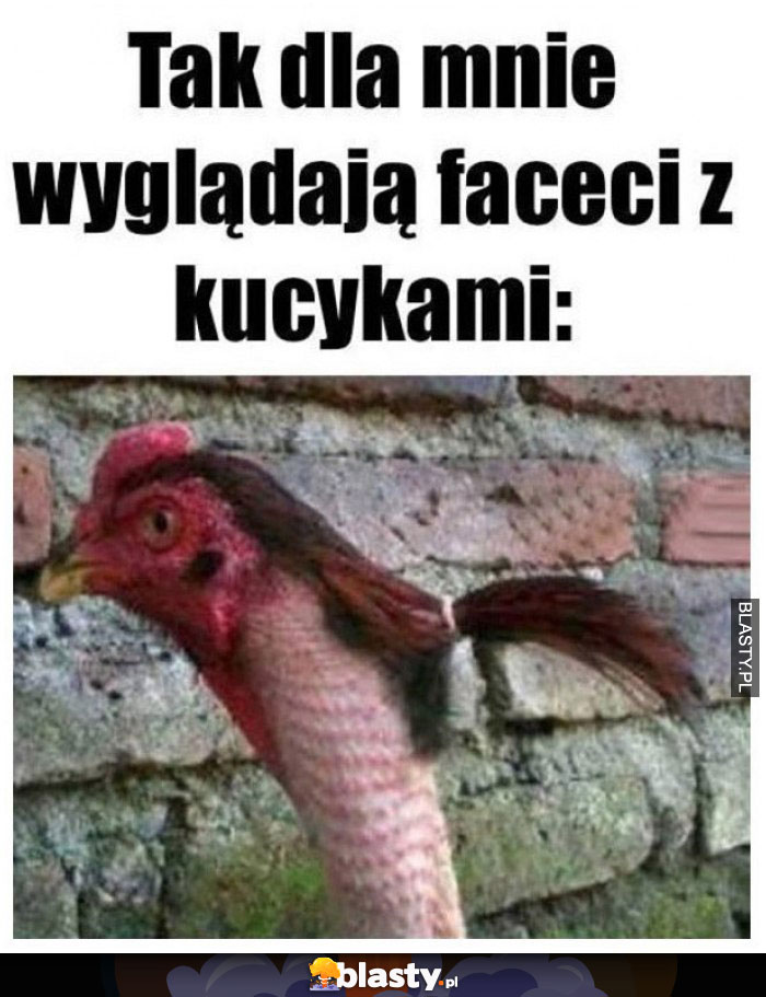 Tak dla mnie wyglądają faceci z kucykami